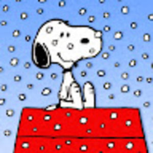 Meet your Posher, Charisse